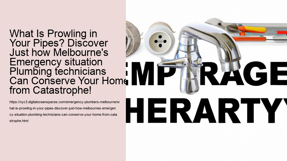 What Is Prowling in Your Pipes? Discover Just how Melbourne's Emergency situation Plumbing technicians Can Conserve Your Home from Catastrophe!