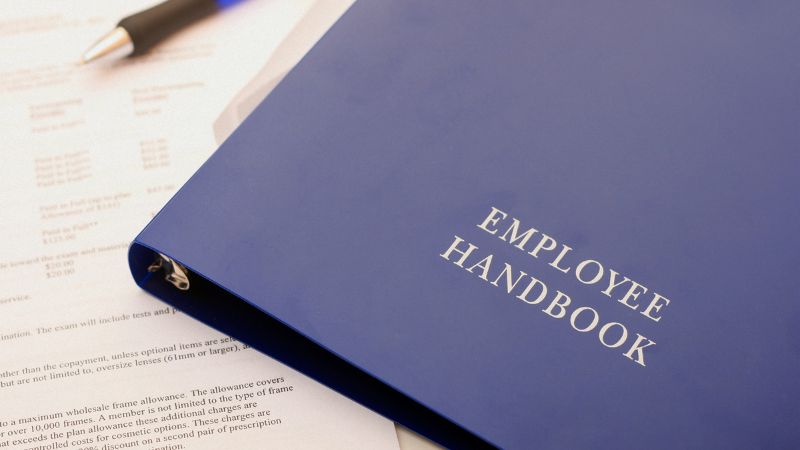 How should training and development policies be presented in an employee handbook?