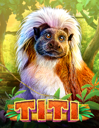 Titi (Game Media works)