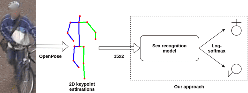  "Fig. 1: An overview of the pipeline. OpenPose is used to extract 2D keypoints, which are fed into the the binary classification model for sex recognition." From the paper "Can Human Sex Be Learned Using Only 2D Body Keypoint Estimations?". The image on the left is a still frame from the Oxford Town Centre dataset.