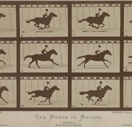 Sallie Gardner At A Gallop