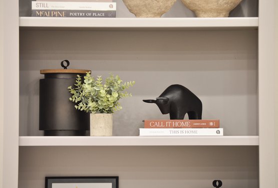 Furnished shelf decored with plant, books, and bull figurine
