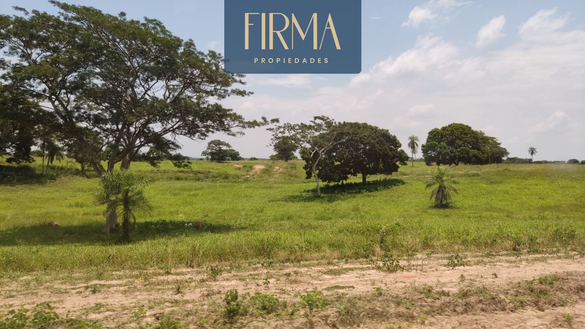 property banner
