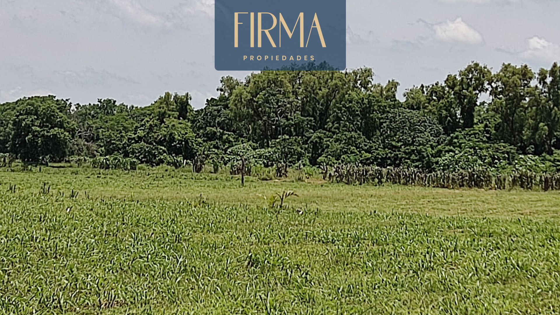 property banner