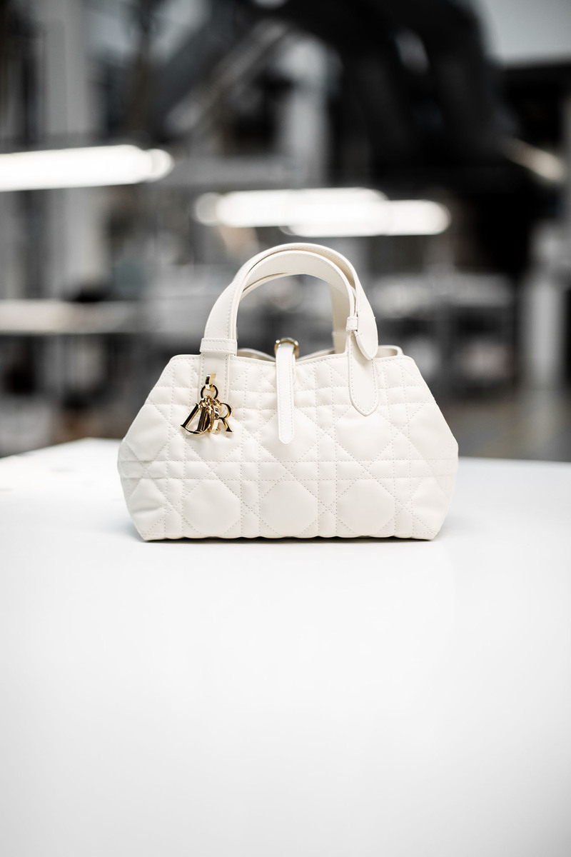 Dior Toujours Bag: Where Craftsmanship Meets Timeless Elegance