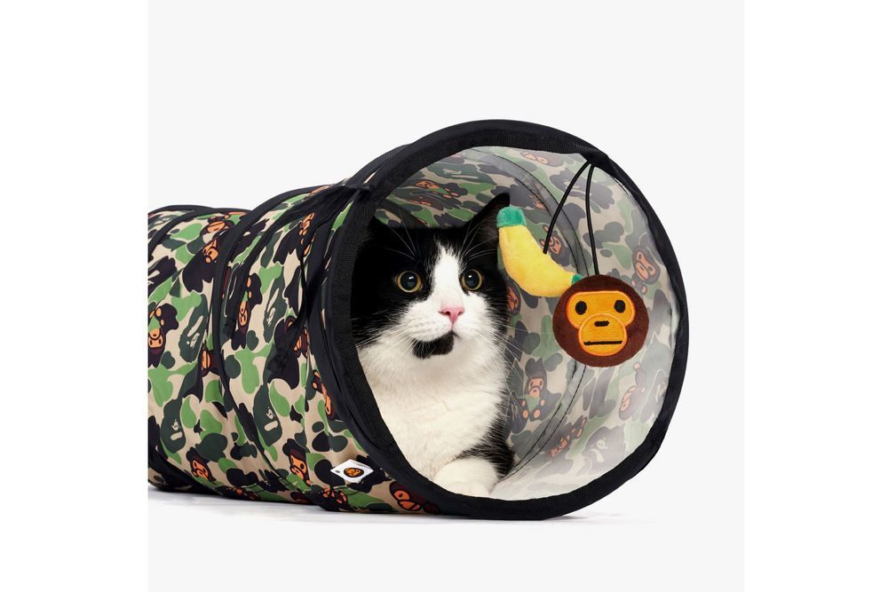 Bape Kits Out Your Kitties In Camo