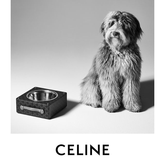  Celine’s New Collection Is Doggone Cute!