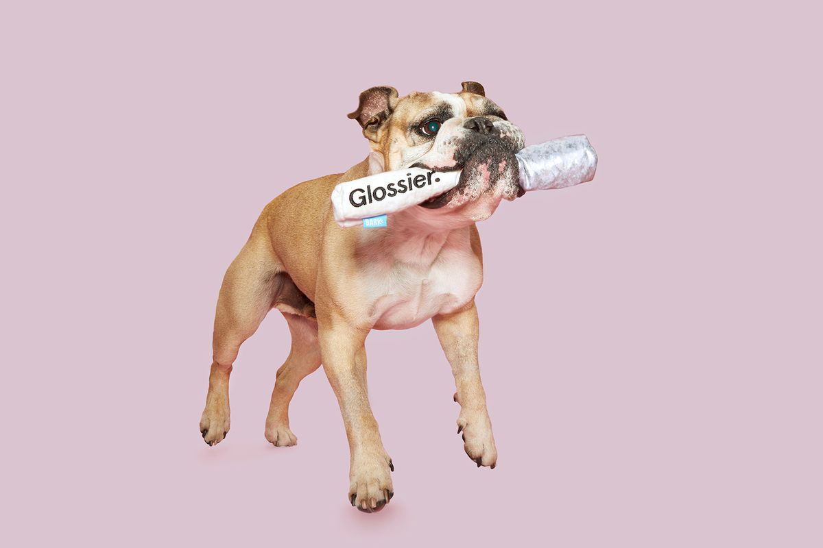 Glossier Teams Up With Bark On Pup-Friendly Make-Up Toys