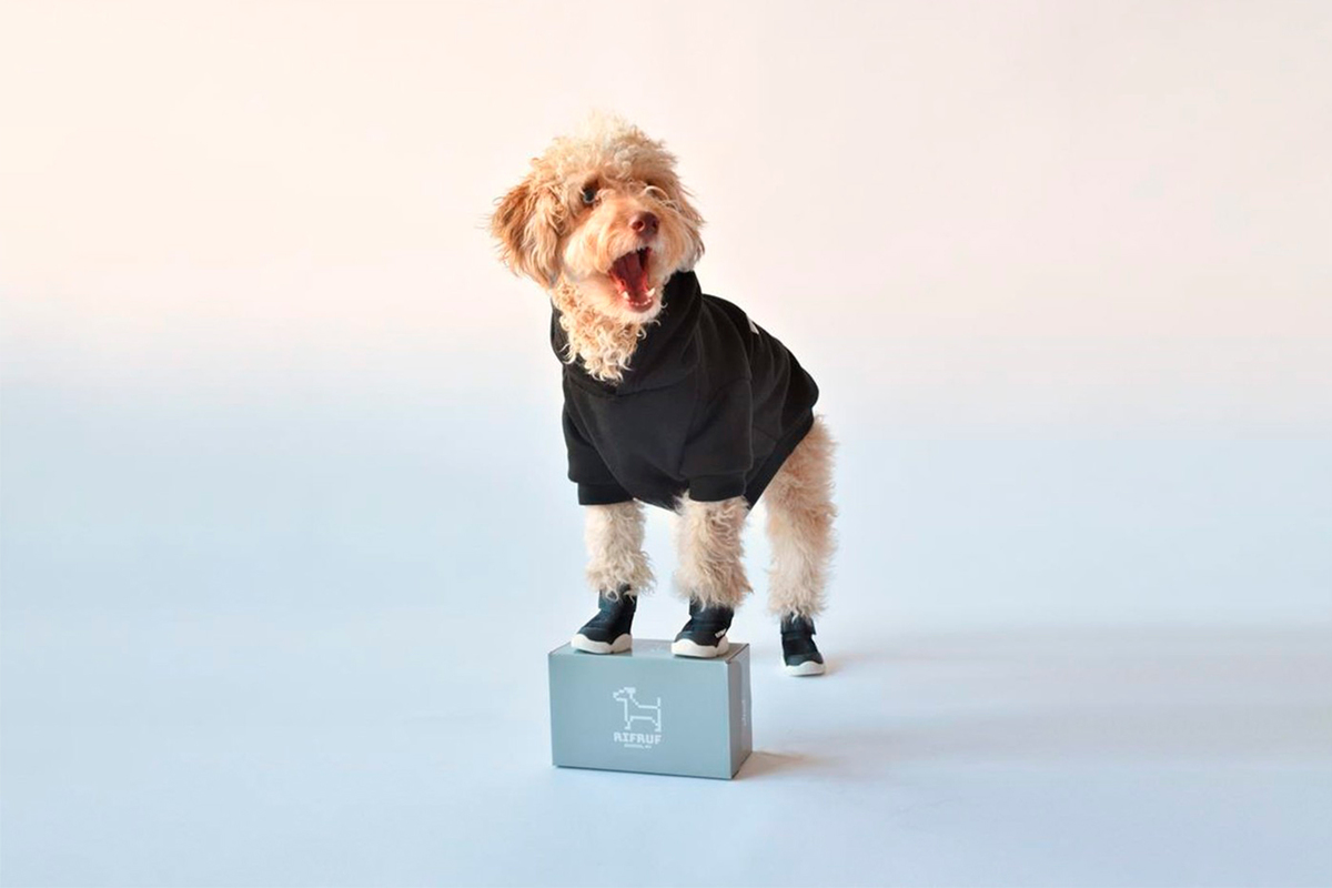 Dog Sneakers We’re Going Barking Mad For 