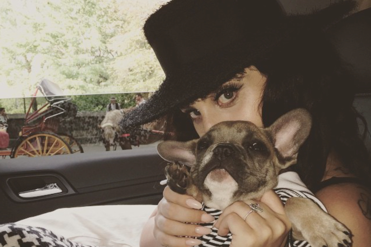 Lady Gaga's Dog-Walker Shot In LA