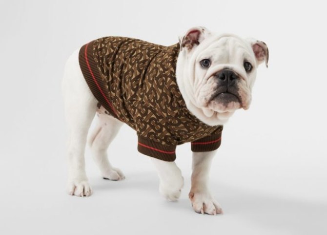 SSENSE Drops Designer Dogwear from Burberry, Moncler, Versace and More