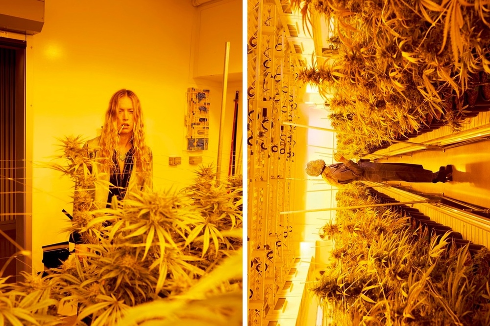 Juergen Teller Transforms A Canceled Rihanna Shoot Into A Weed Factory Editorial 