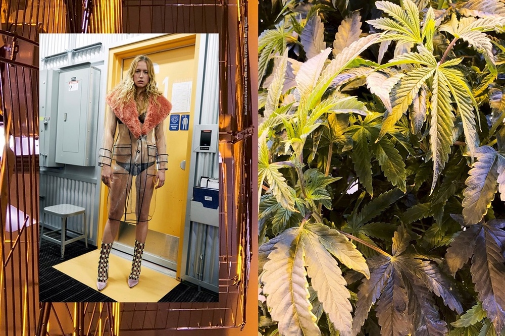 Juergen Teller Transforms A Canceled Rihanna Shoot Into A Weed Factory Editorial 