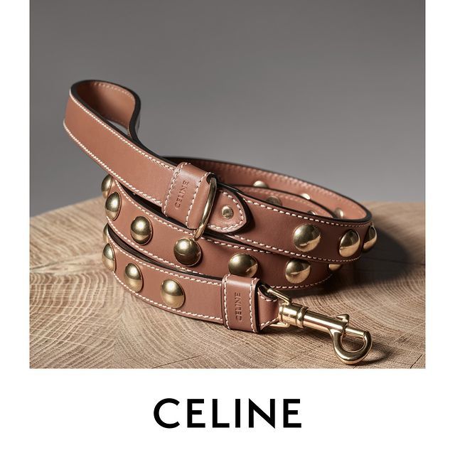  Celine’s New Collection Is Doggone Cute!