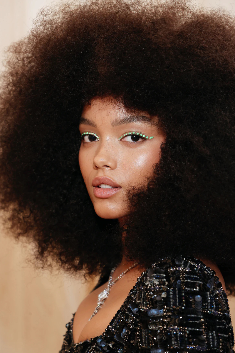 Hair And Makeup Looks At The Met Gala 2021 American Beauty Best Hair And Makeup Looks At The