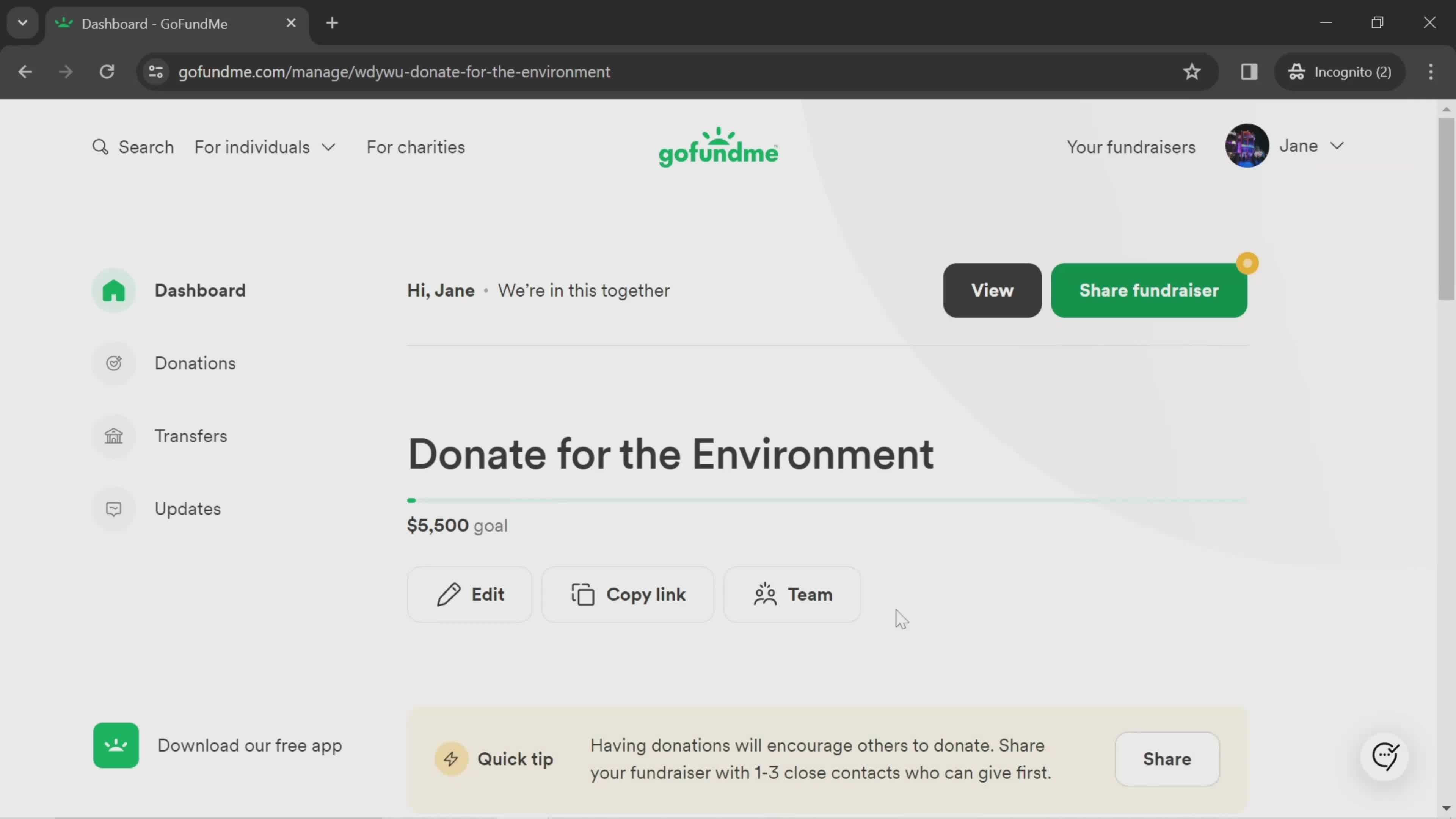 GoFundMe fundraiser screenshot