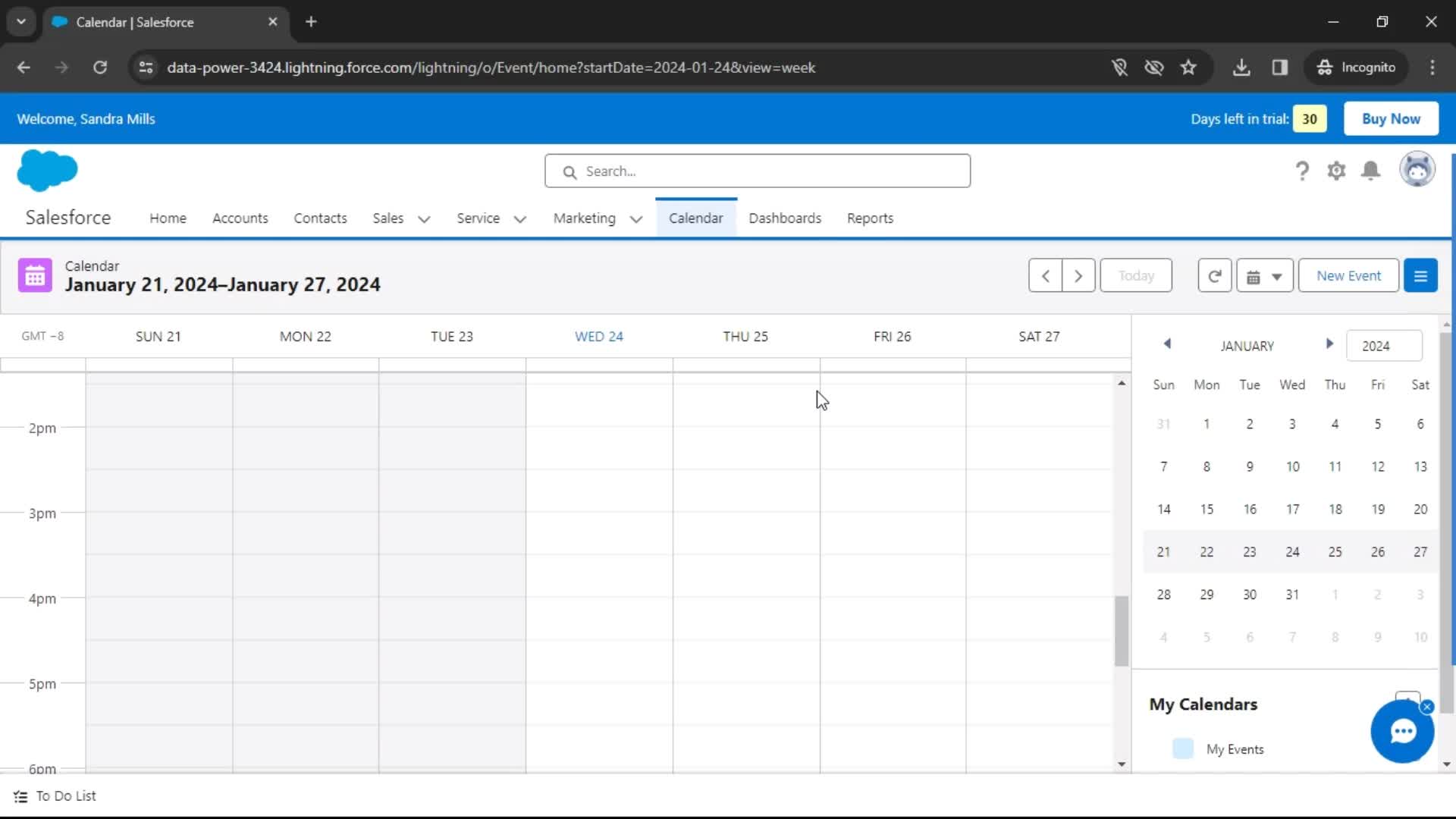 Salesforce calendar screenshot