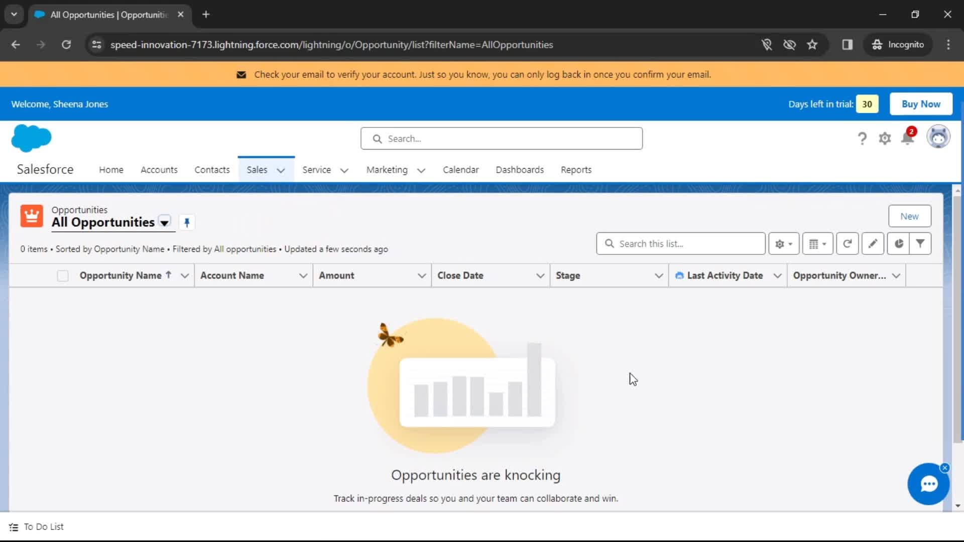 Salesforce opportunities screenshot