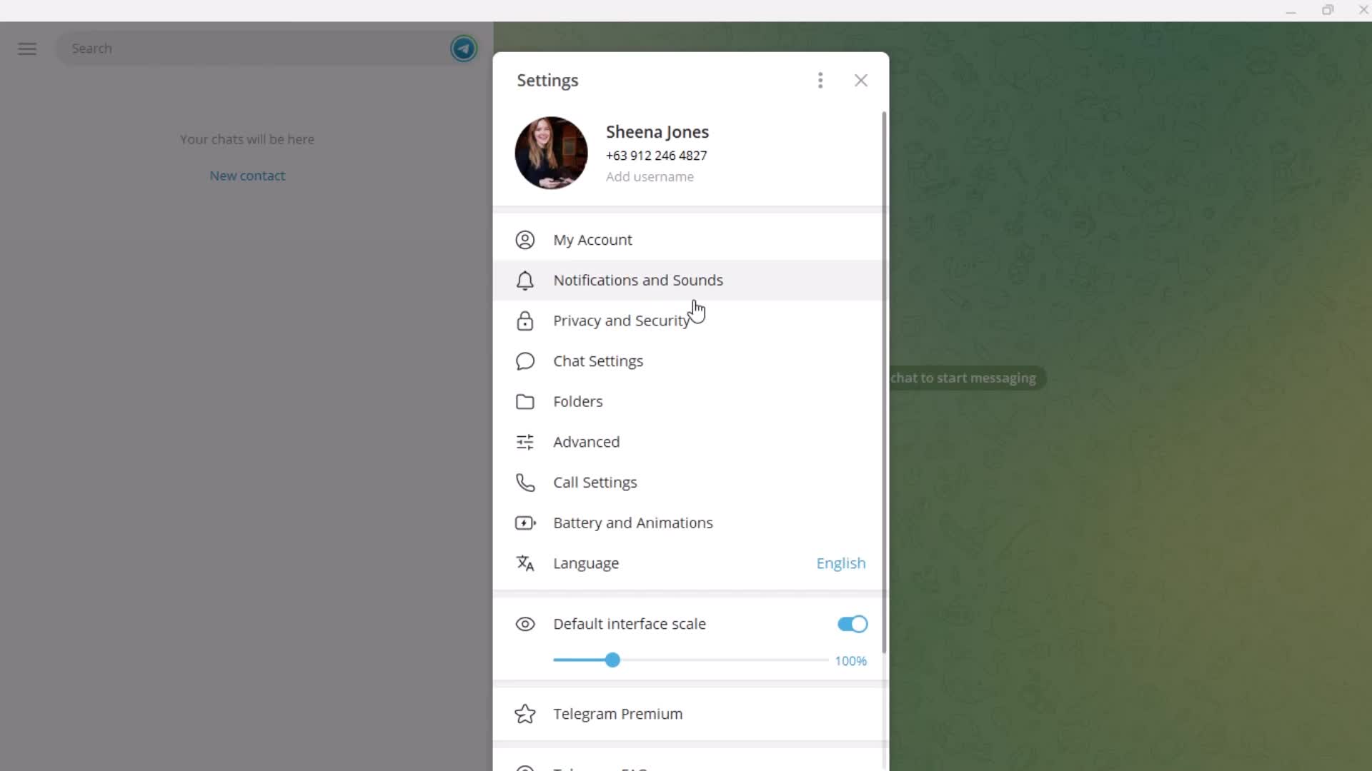 Telegram settings screenshot