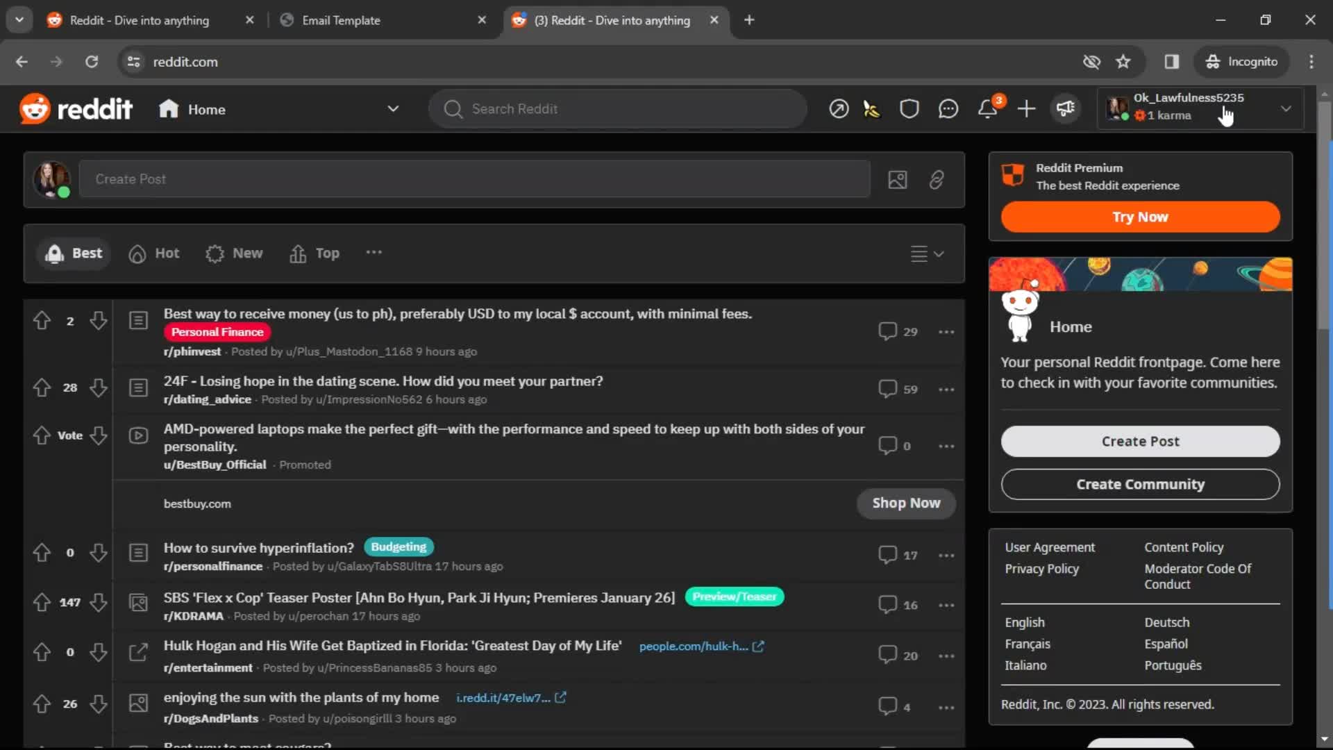 Reddit home screenshot