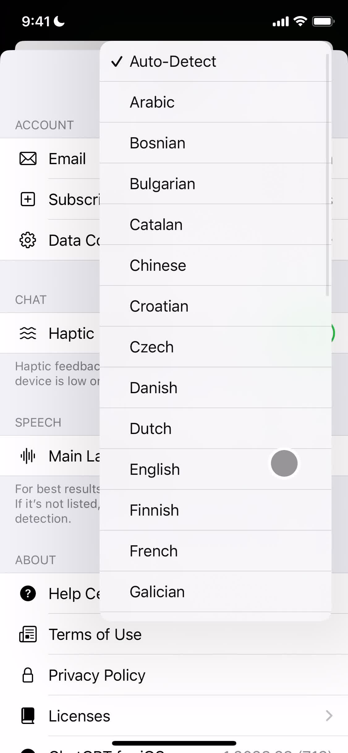 ChatGPT select language screenshot