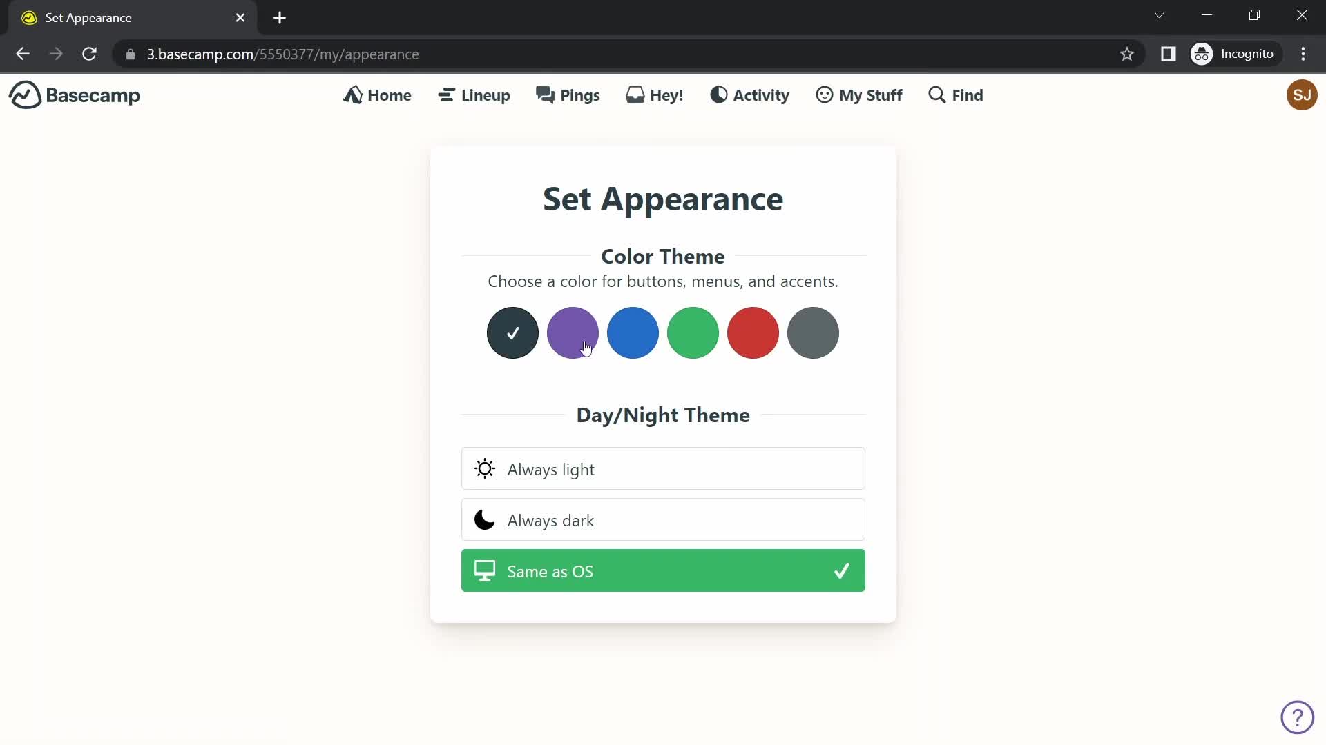 Basecamp customize appearance screenshot