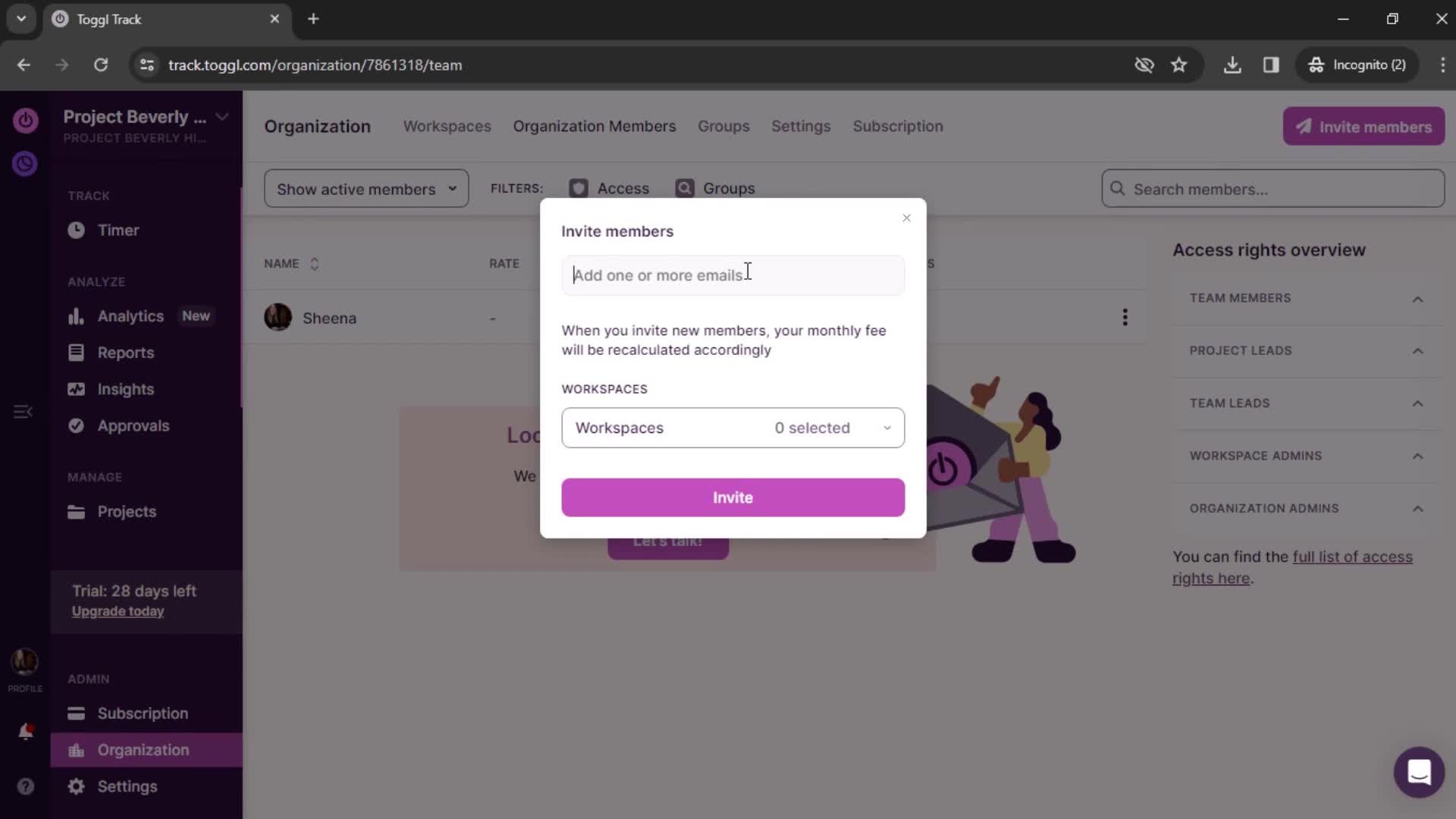 Toggl Track invite members screenshot