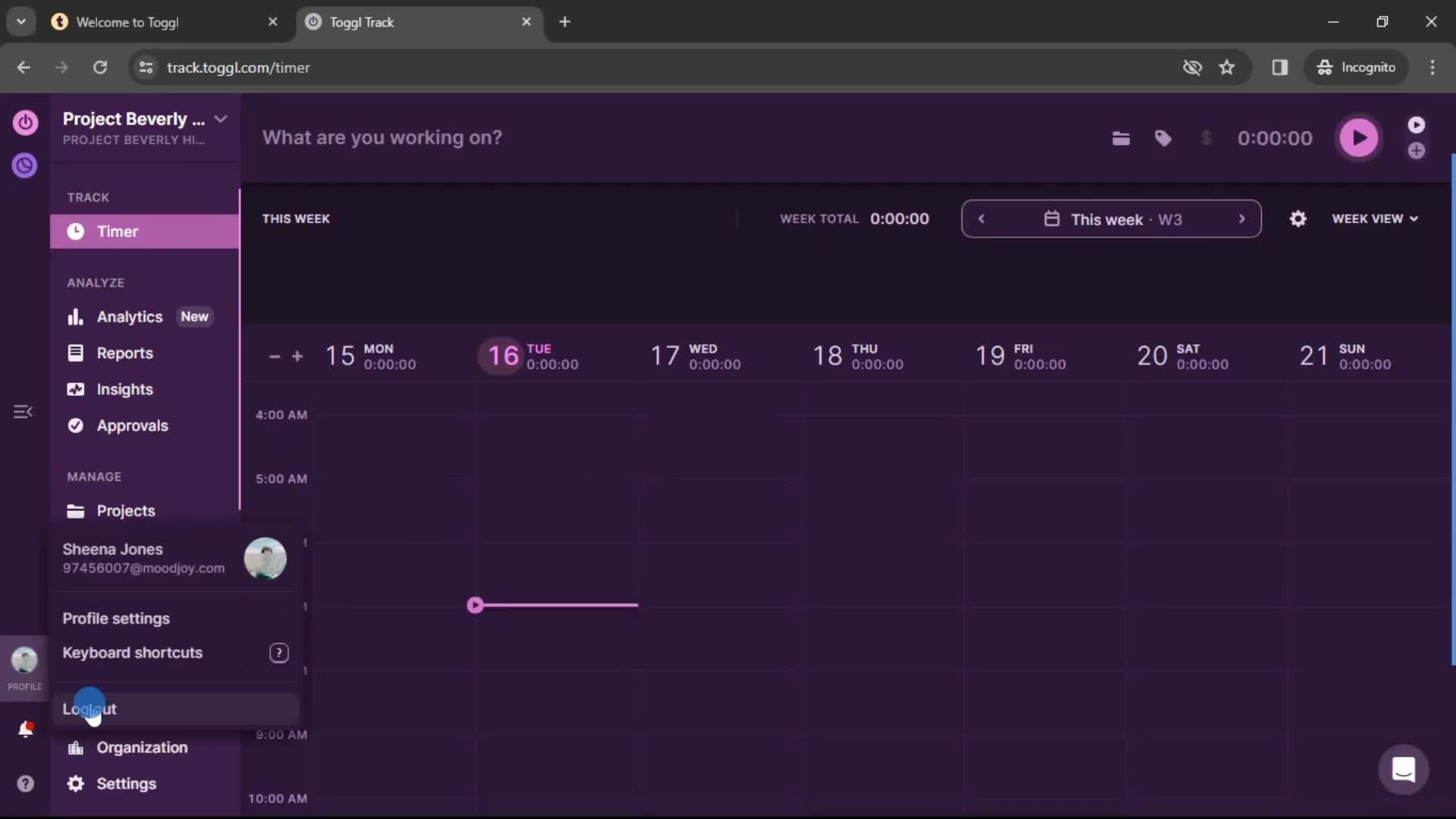 Toggl Track log out screenshot