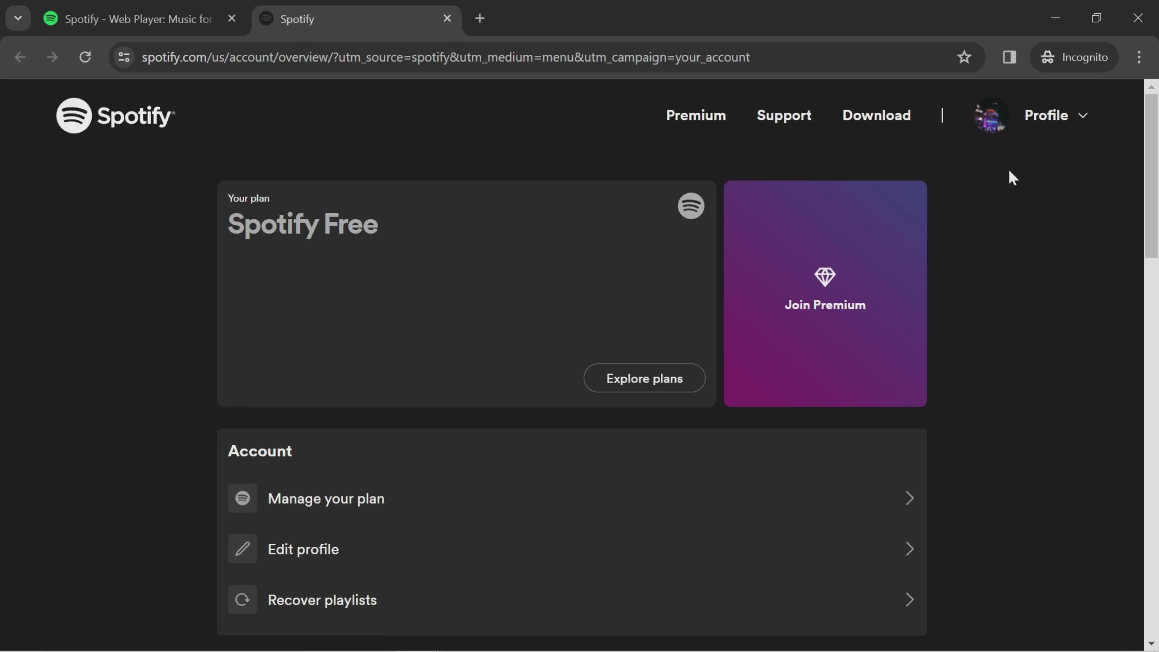 Spotify account screenshot