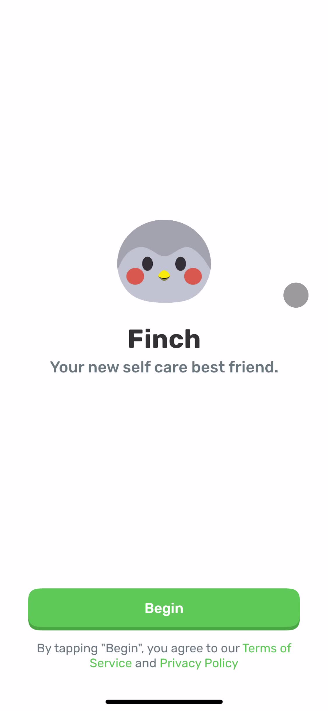 Finch start screen screenshot