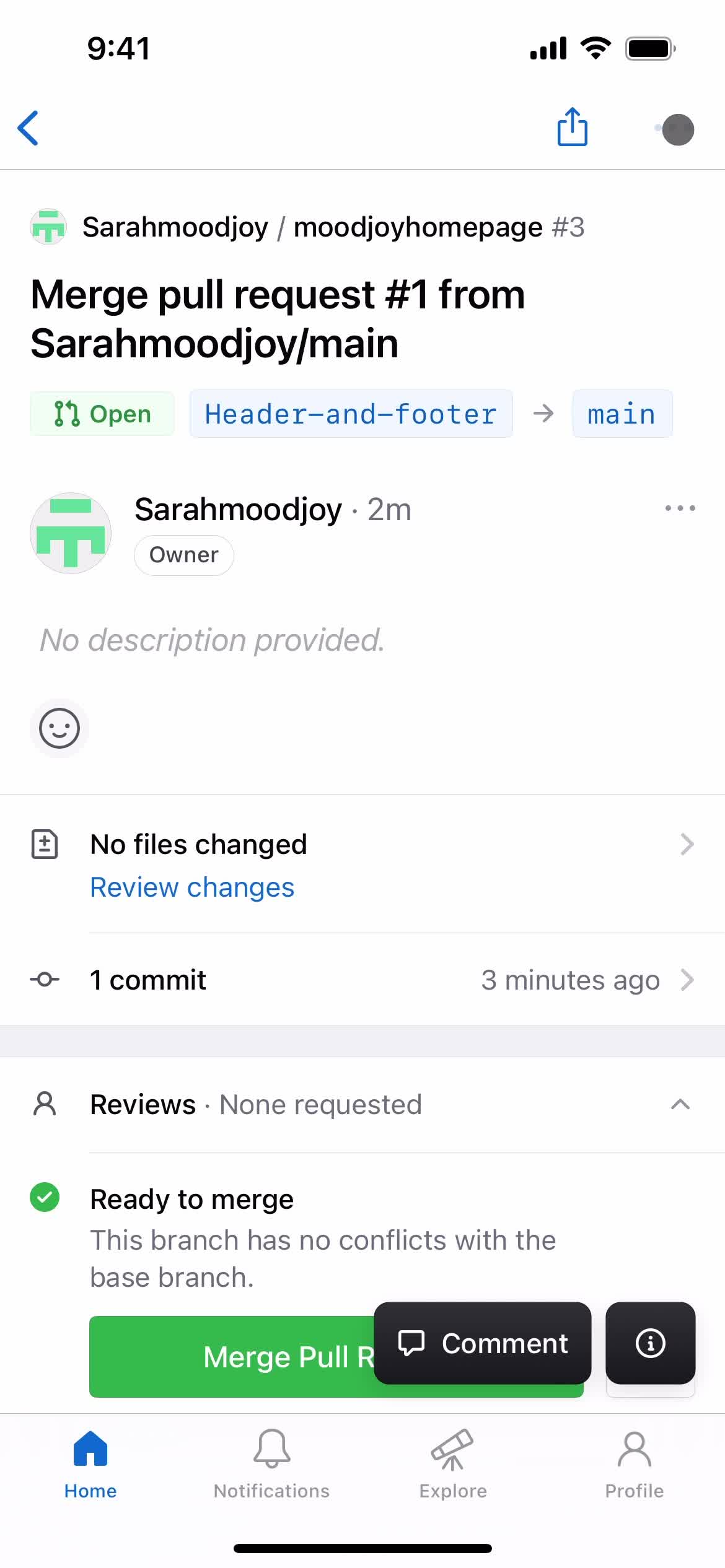 GitHub request details screenshot