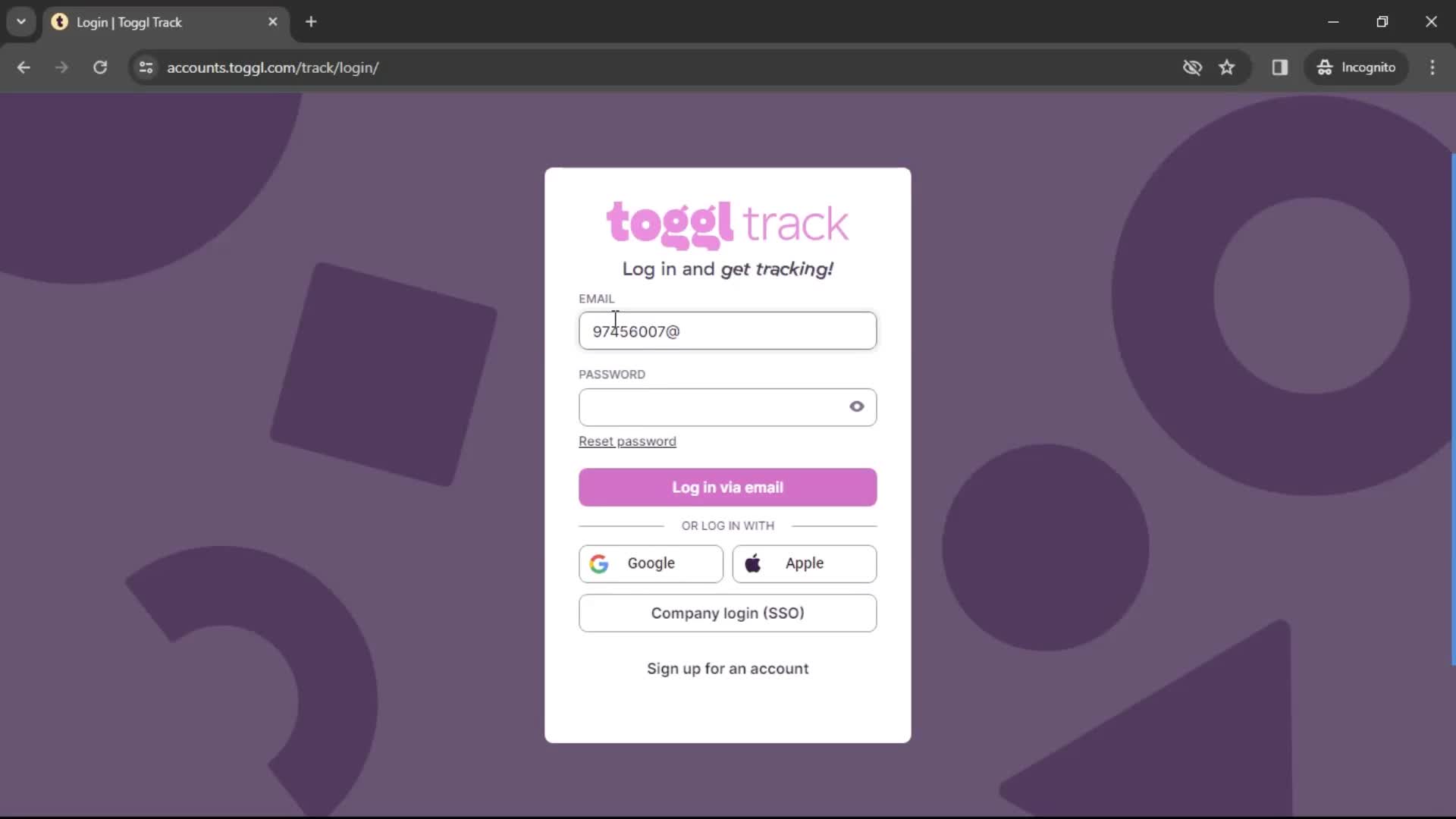 Toggl Track enter email screenshot