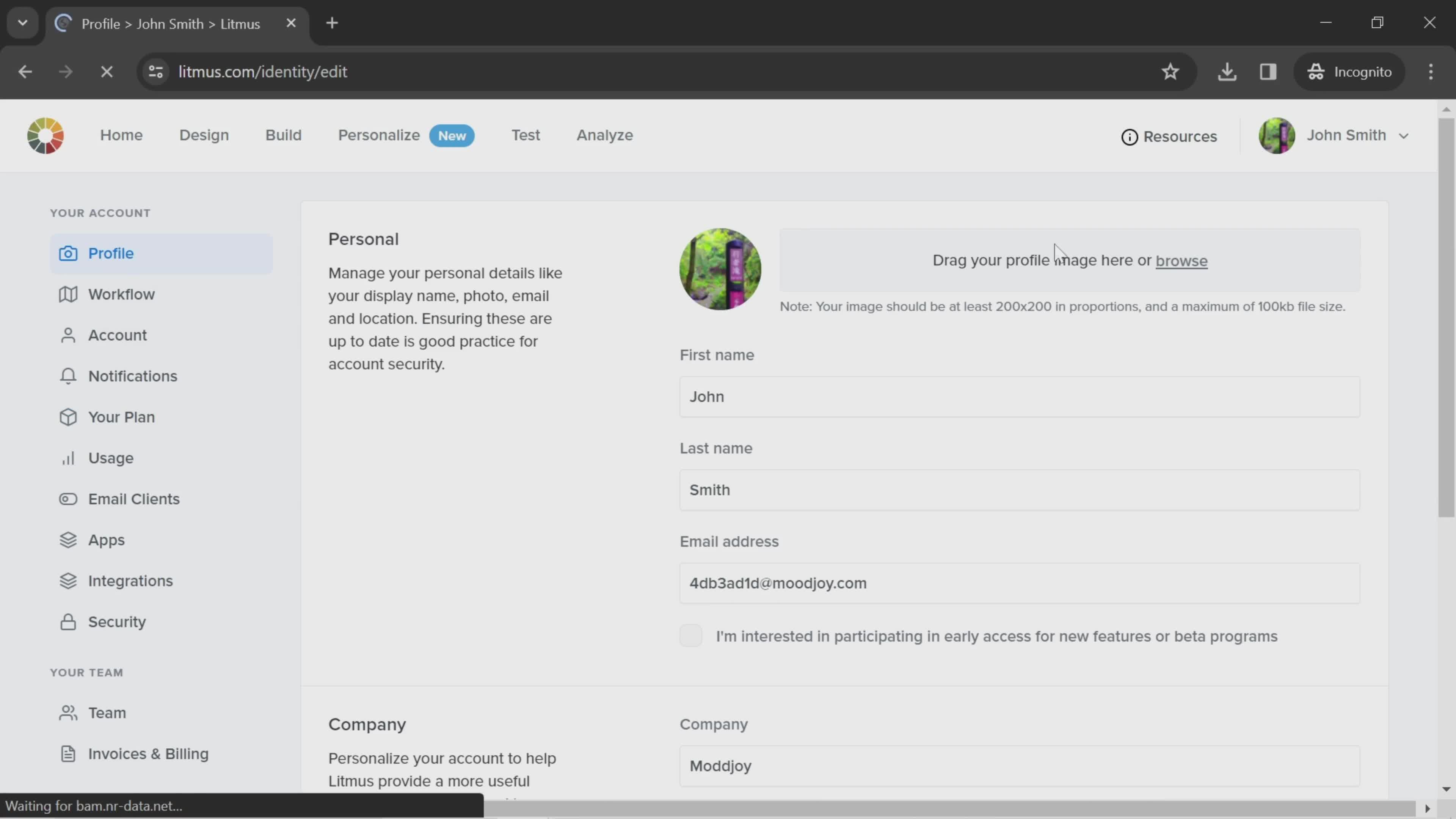 Litmus profile screenshot