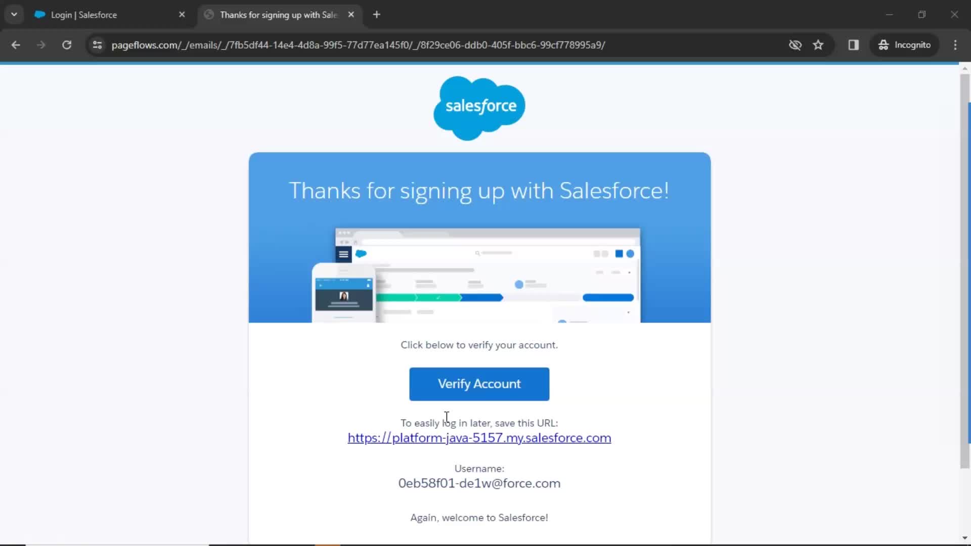 Salesforce verification email screenshot