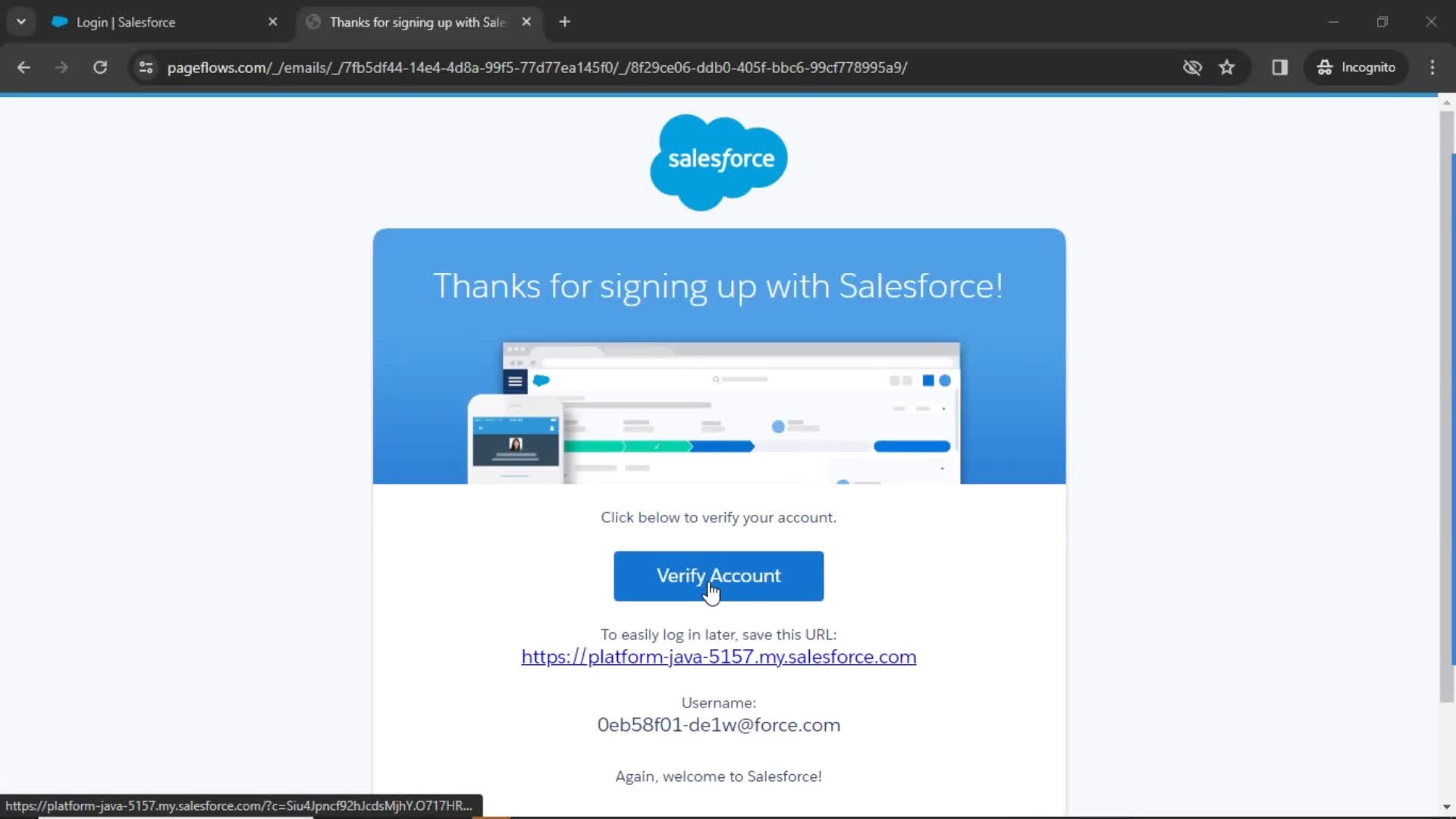 Salesforce verify account screenshot