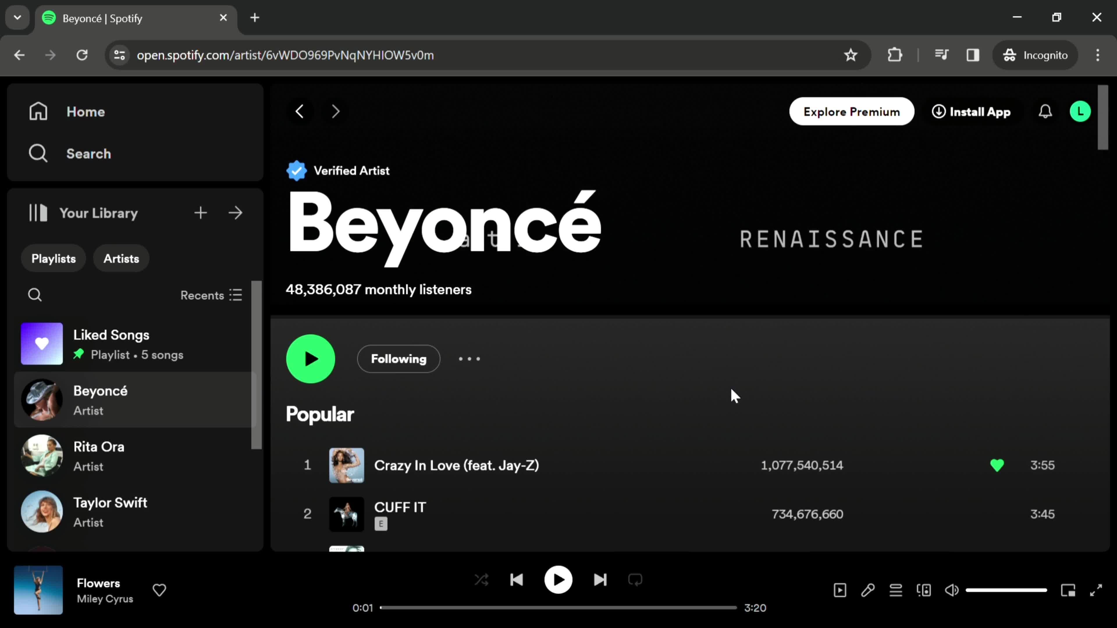 Spotify artist details screenshot