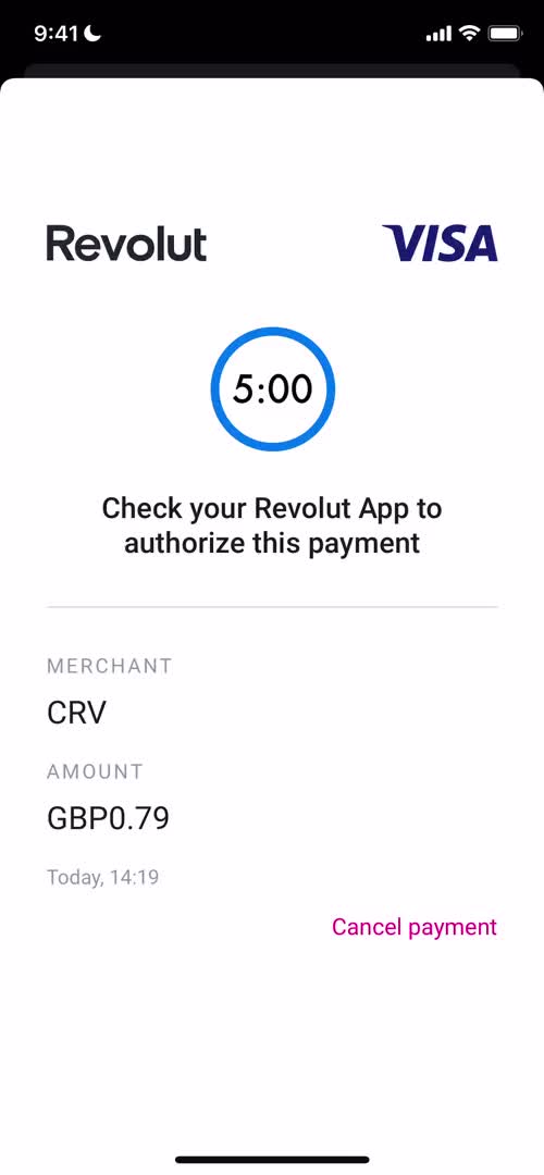 Curve authorize payment screenshot