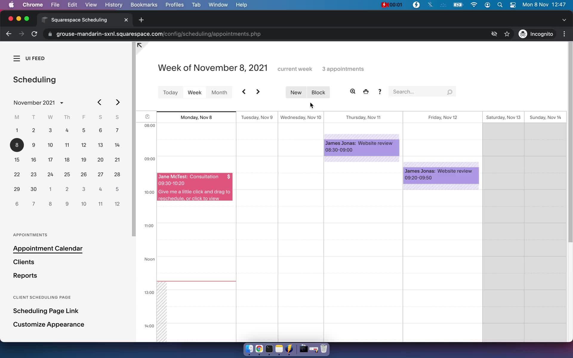 Squarespace Scheduling appointments screenshot