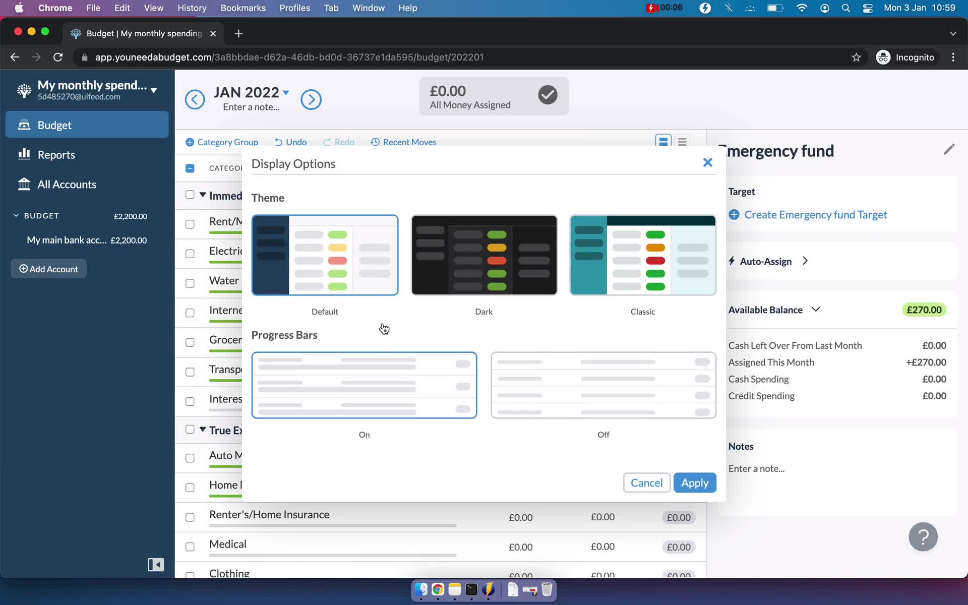 YNAB customize appearance screenshot