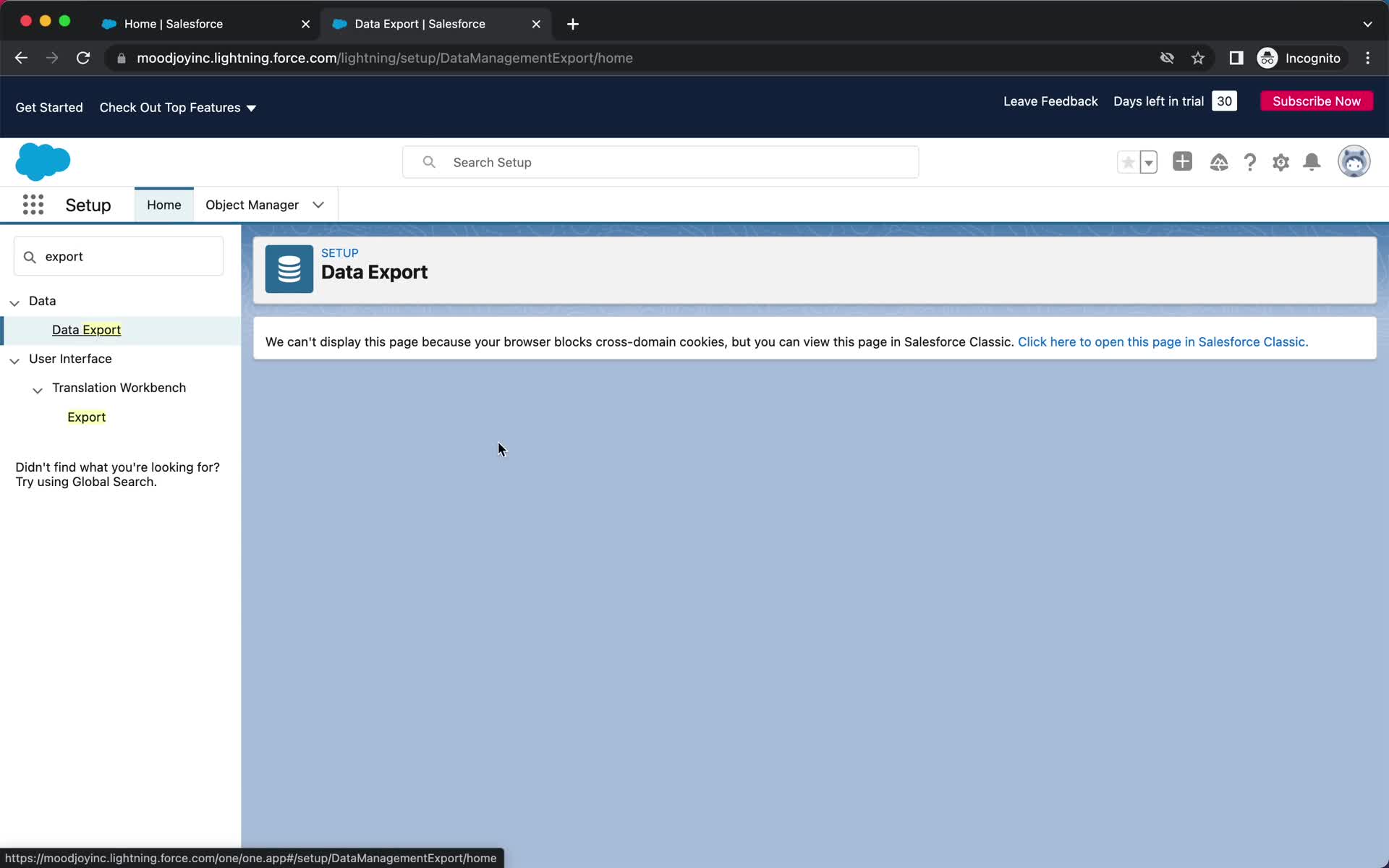 Salesforce export screenshot