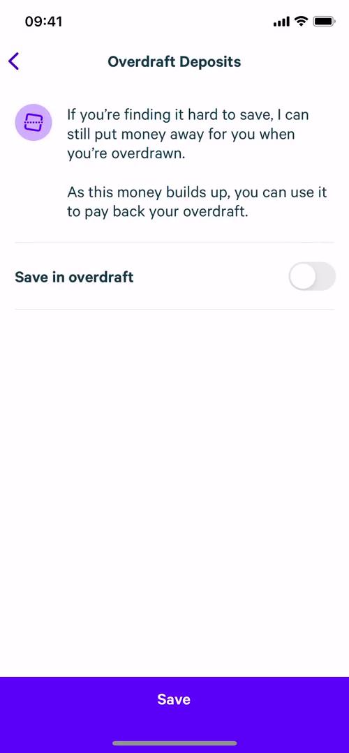 Plum overdraft details screenshot