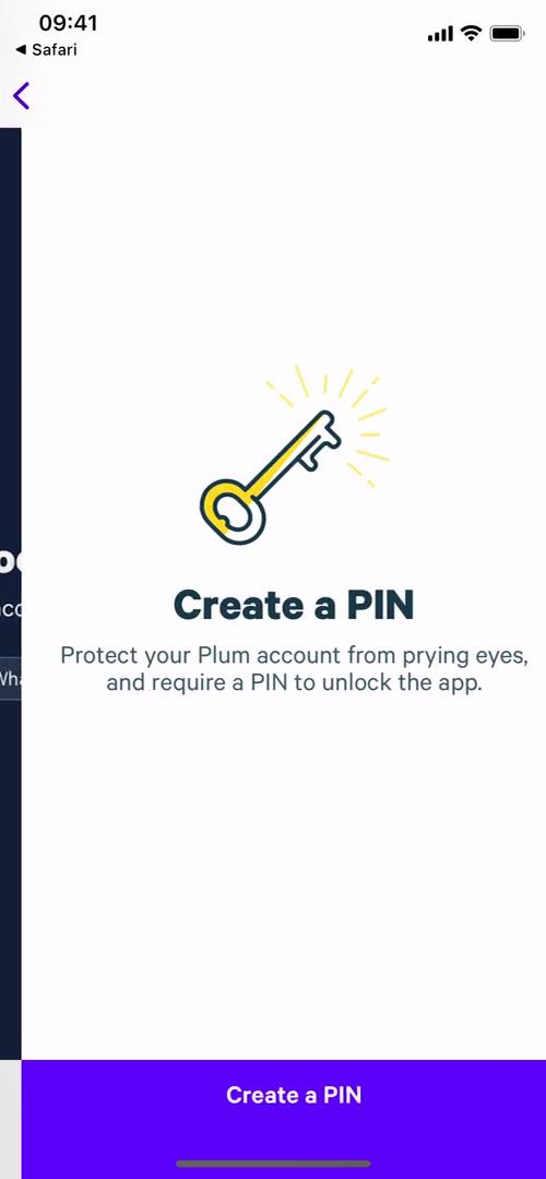 Plum create pin screenshot