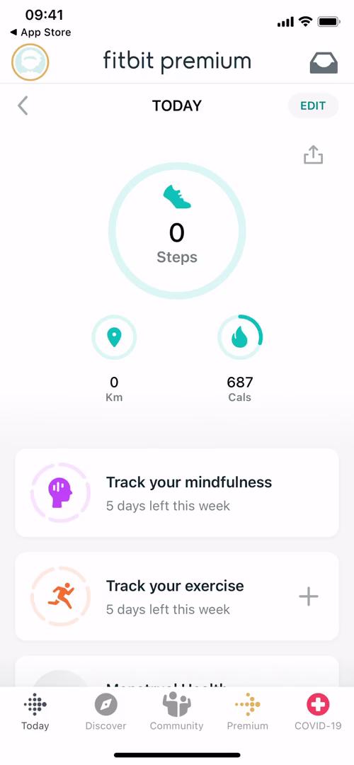 Fitbit dashboard screenshot