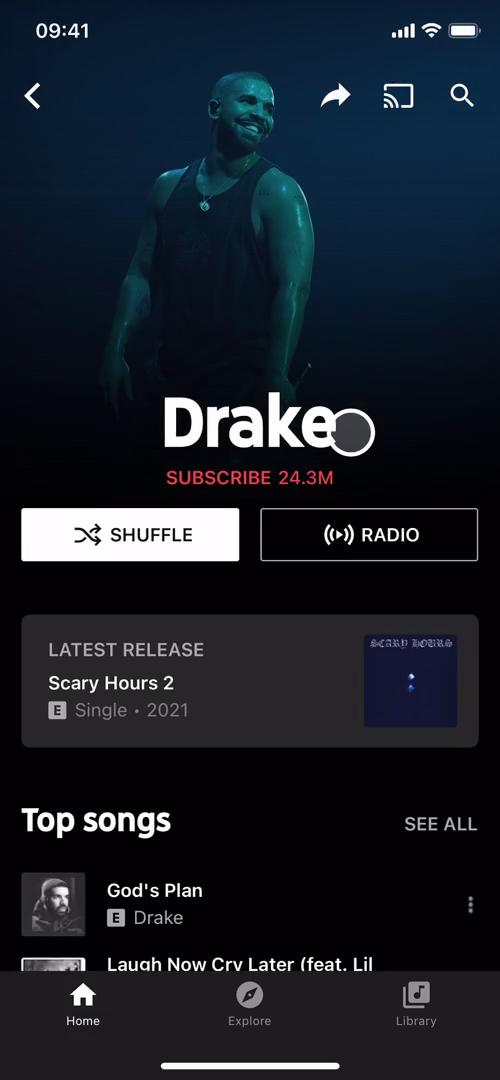 YouTube Music artist details screenshot