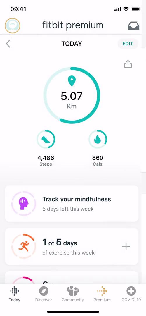 Fitbit dashboard screenshot