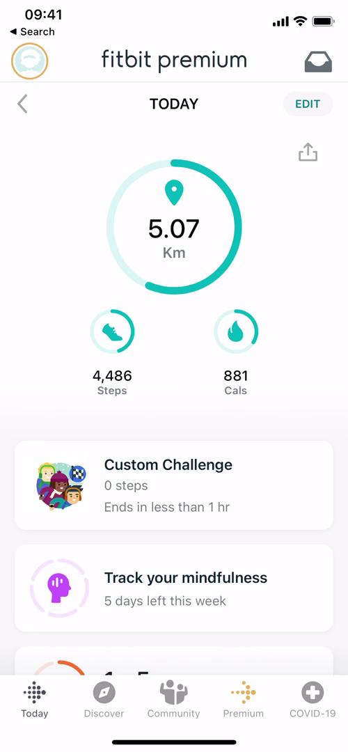 Fitbit dashboard screenshot