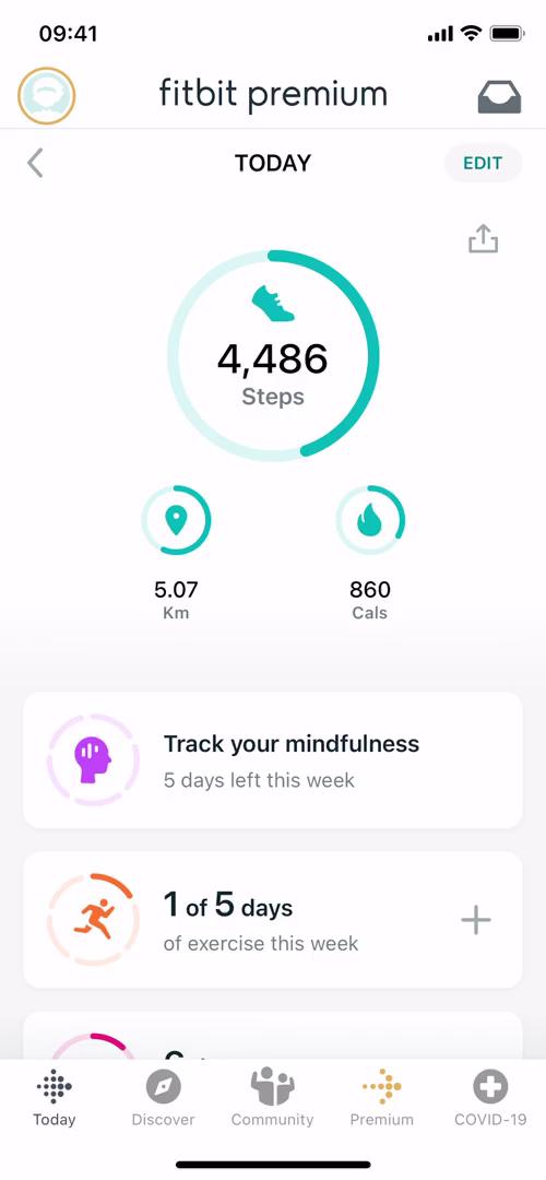 Fitbit dashboard screenshot