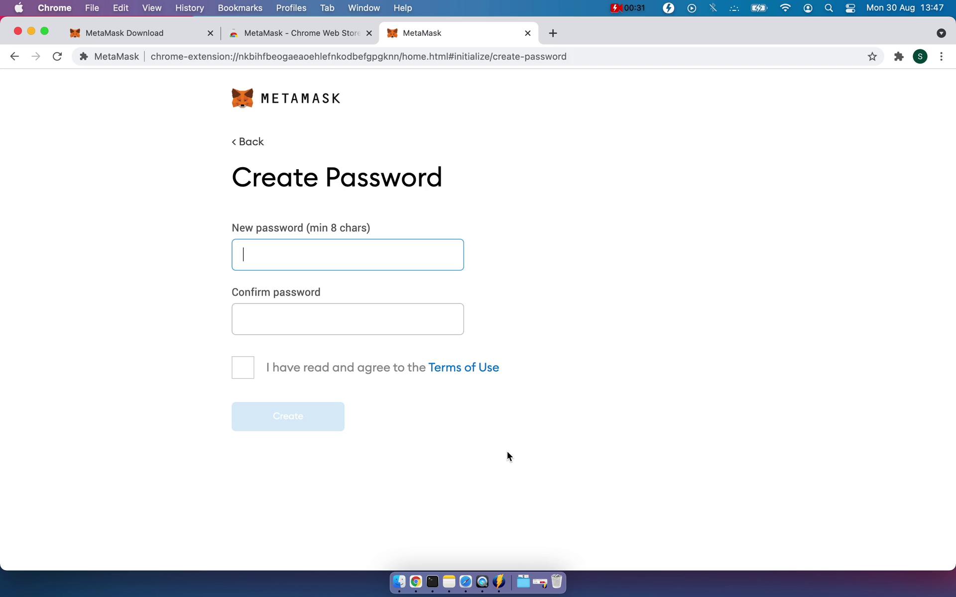 MetaMask set password screenshot