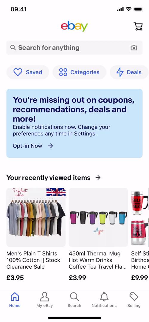 eBay home screenshot