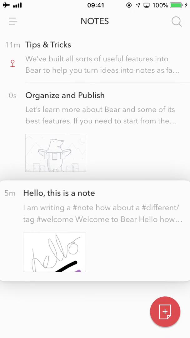 Bear notes notes screenshot